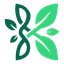 Kudzu Logo